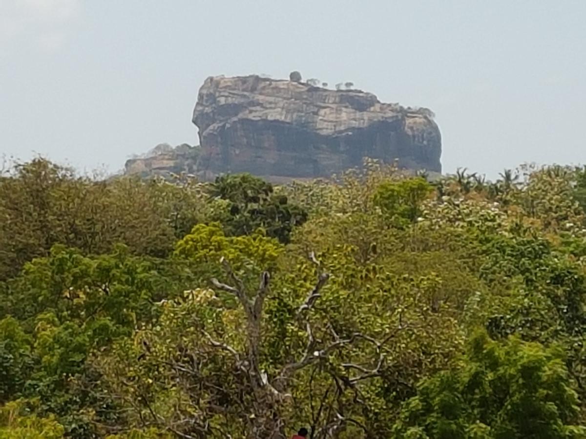 Sigiri Heritage Villa Σιγκιρίγια Εξωτερικό φωτογραφία